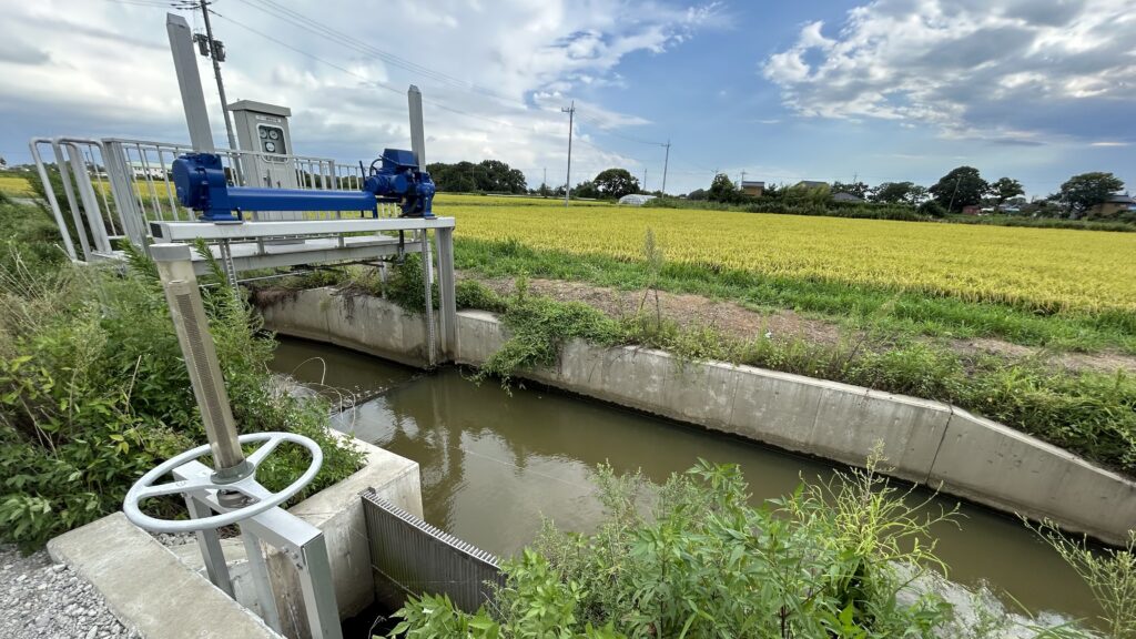 この池とうなぎ沼が地下で繋がっている可能性