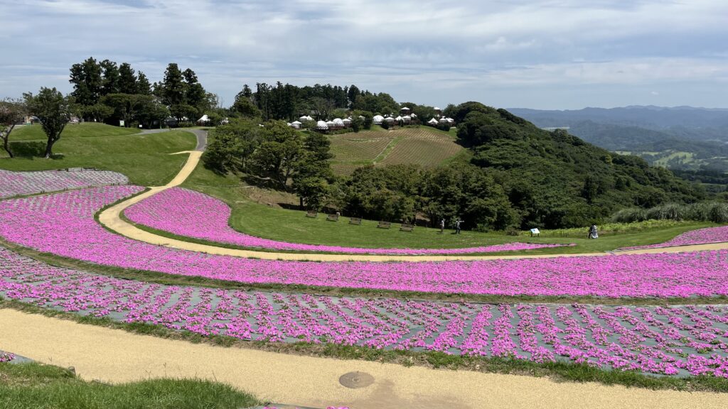 マザー牧場