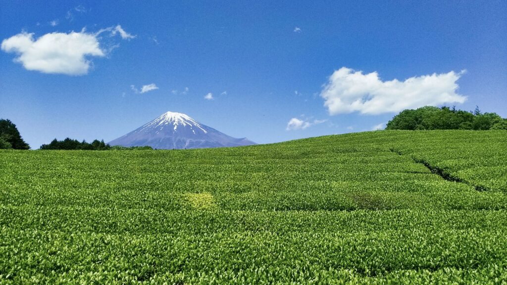 相良藩周辺の風景