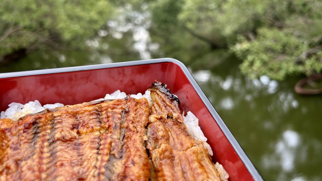 うな丼を持って沼へ向かう