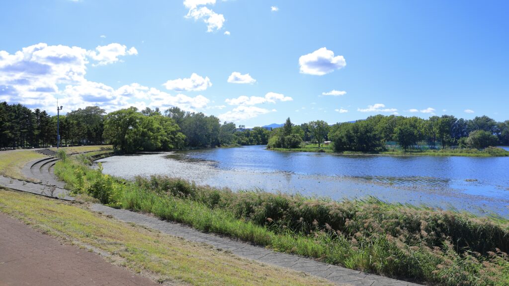 茨戸川の風景