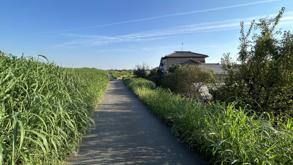 集落へ向かう堤防上の道