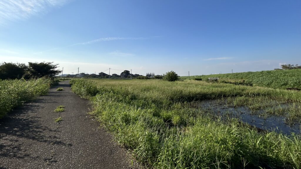 釣沼の南岸へ回るルート