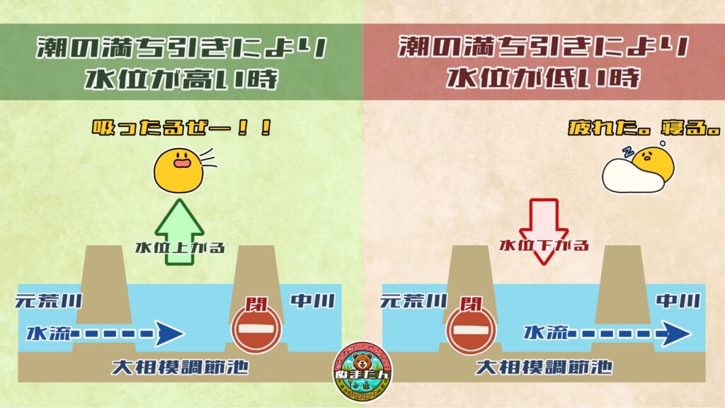 大相模調節池の水質管理の仕組み