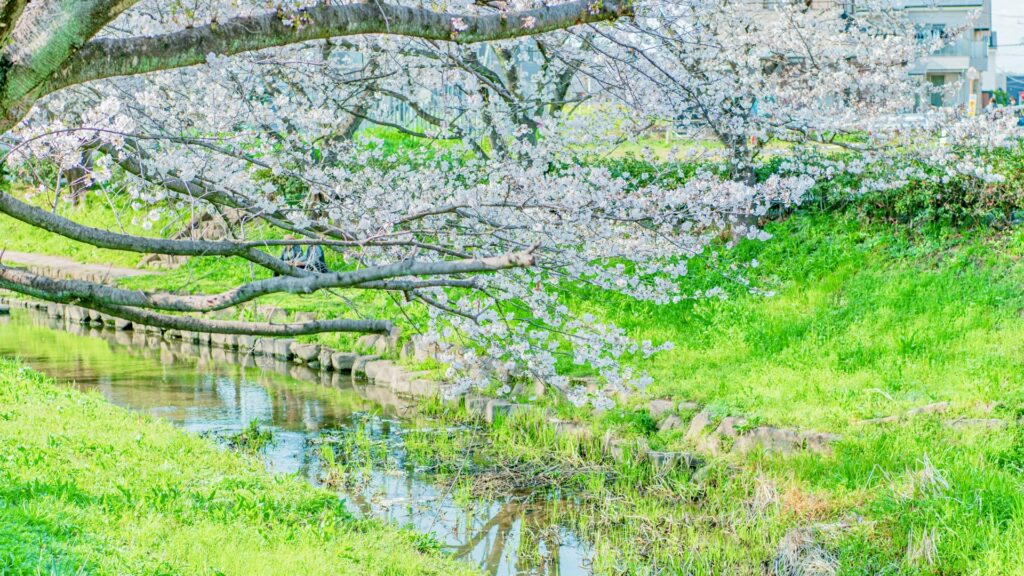 普段の元荒川さん