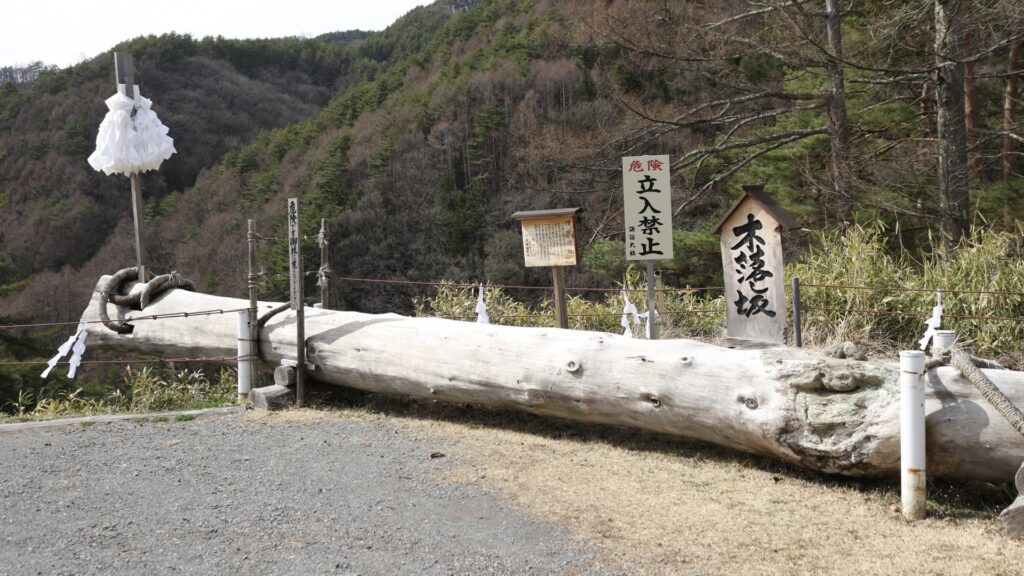 諏訪大社の御柱祭