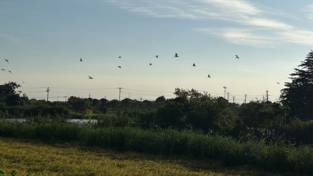 上郷地区から見た鳥沼