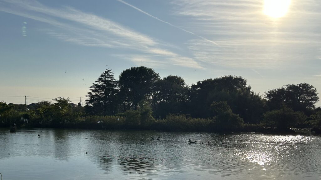 上郷地区から見た鳥沼