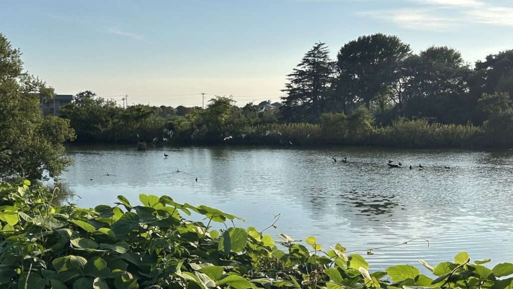 上郷地区から見た鳥沼