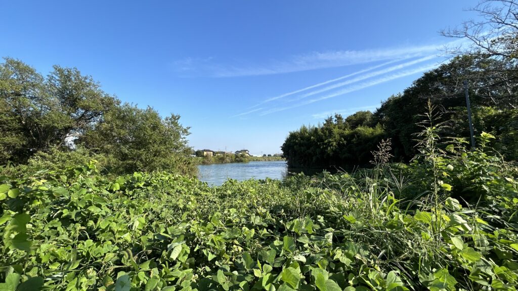 吉野公園から見た鳥沼