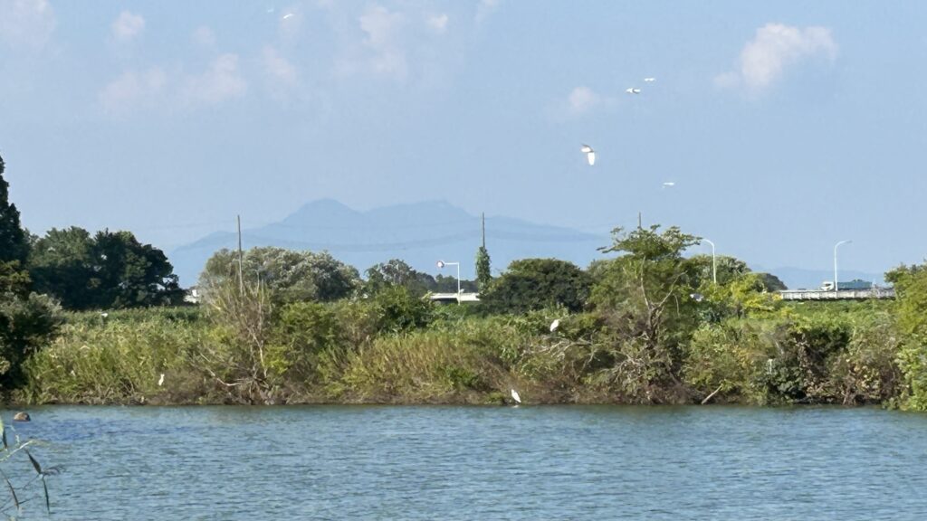 吉野公園から見た鳥沼