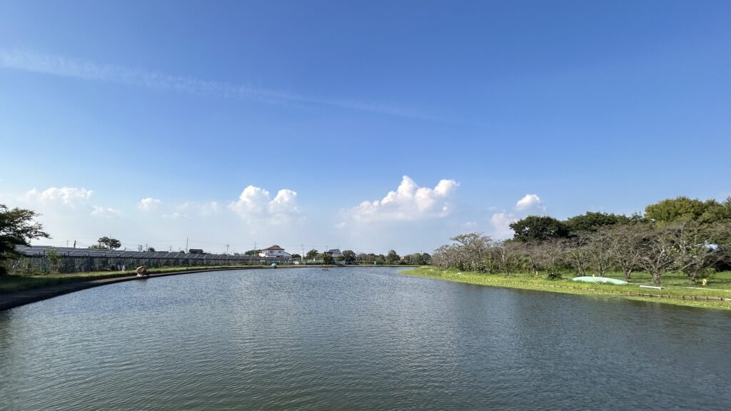 吉野公園はヘラブナ釣りの名所