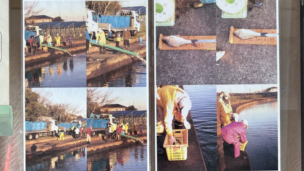 吉野公園はヘラブナ釣りの名所