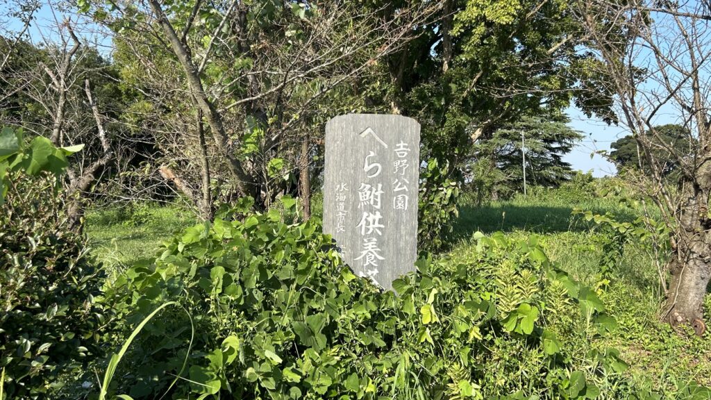 吉野公園はヘラブナ釣りの名所