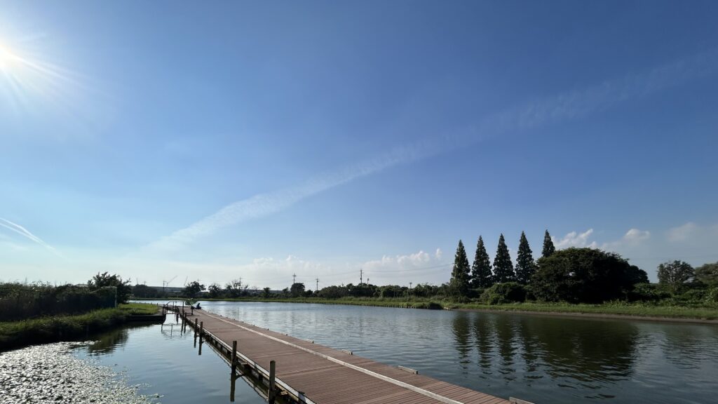 小貝川・三日月湖②