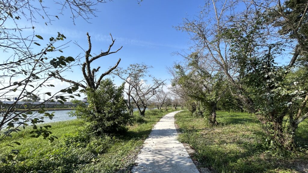 吉野公園は桜の名所