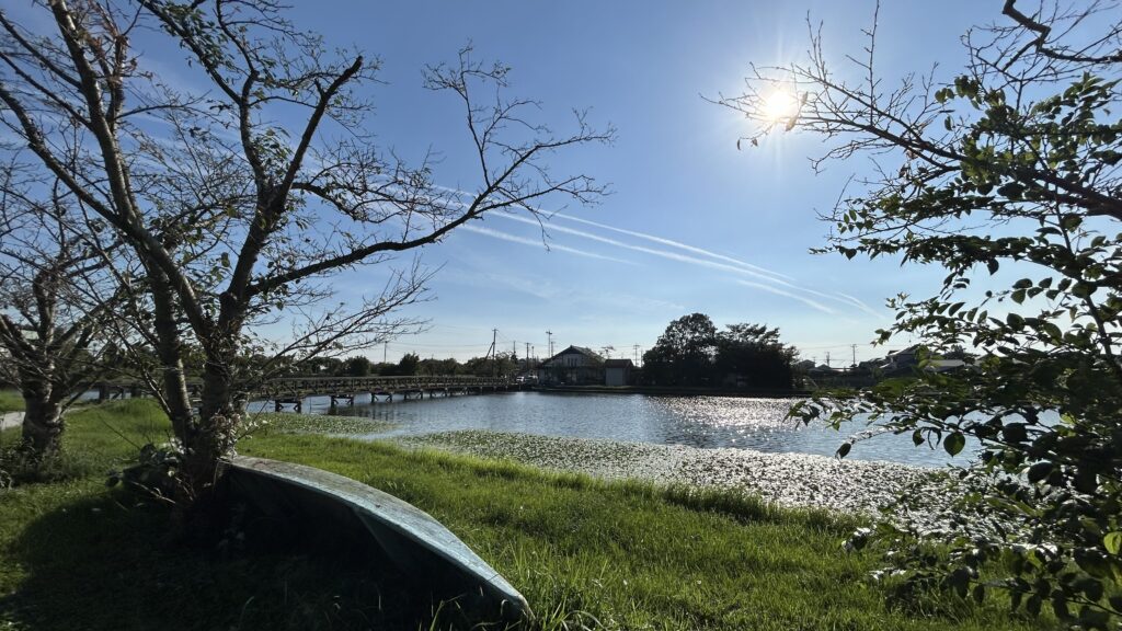 吉野公園の美しい景色