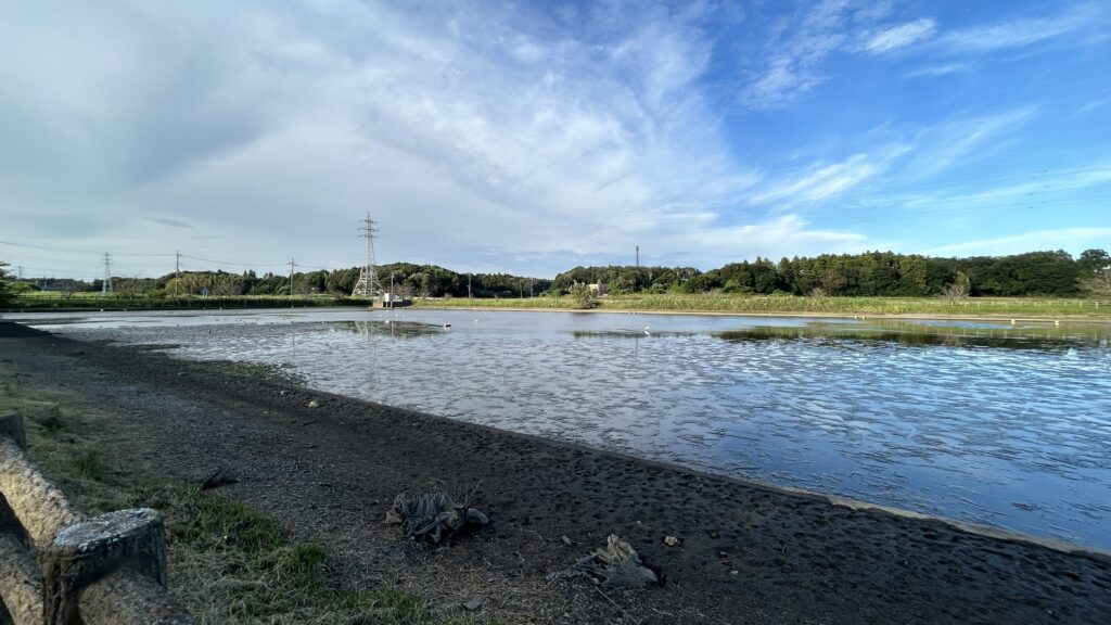 守谷城-守谷沼