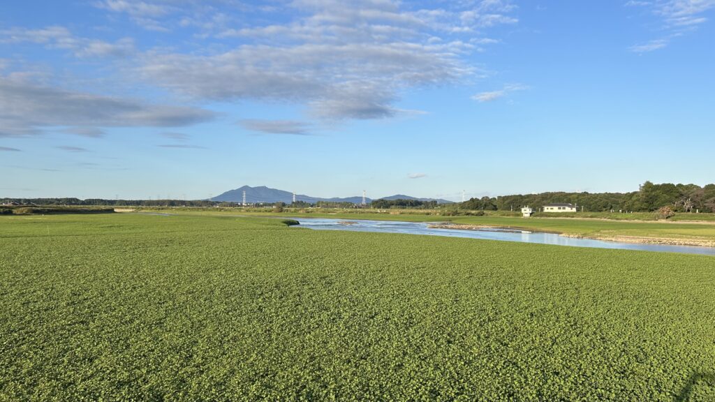 福岡堰