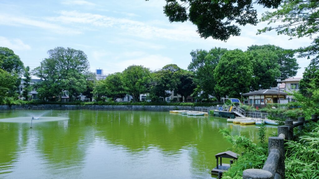 碑文谷公園ボート場