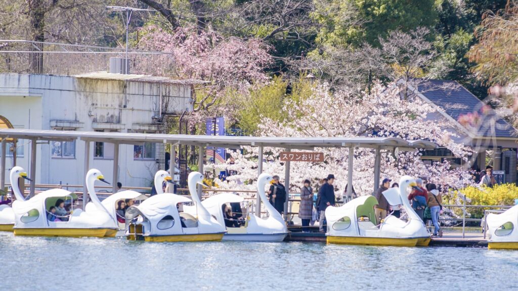 井の頭恩賜公園 ボート場