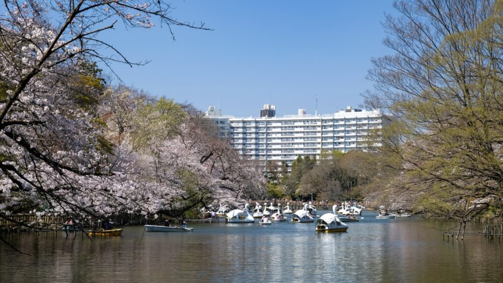 井の頭恩賜公園 ボート場