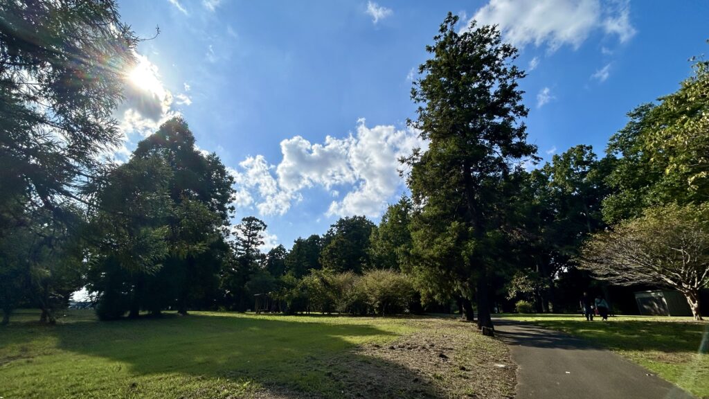 北園森林公園