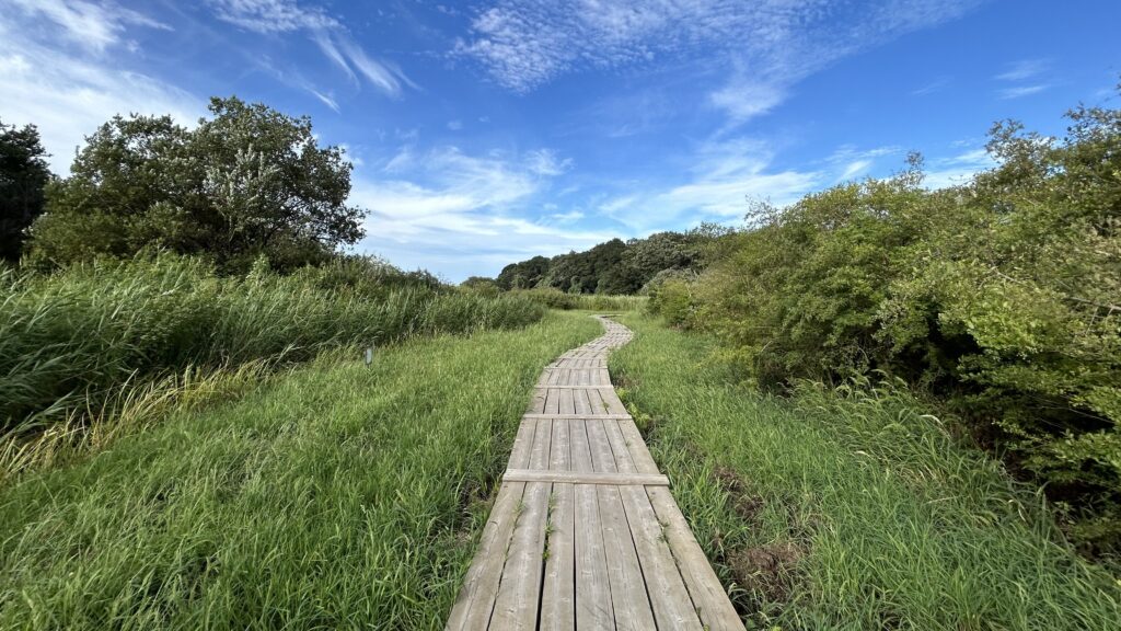 守谷城址公園