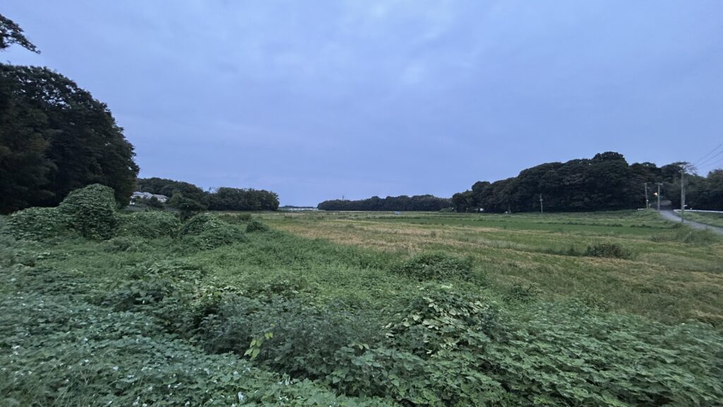 守谷駅周辺の風景