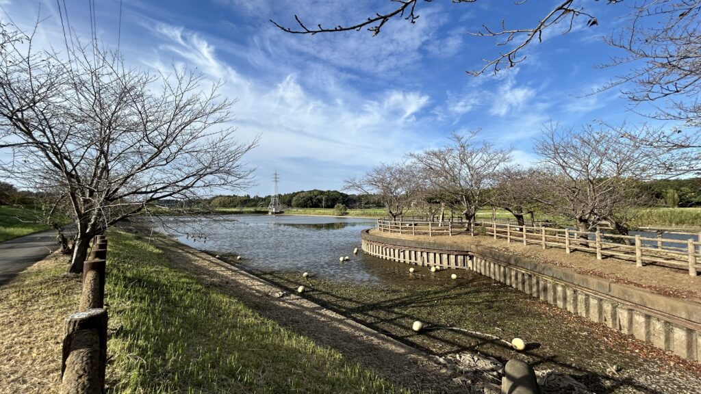 守谷城址公園