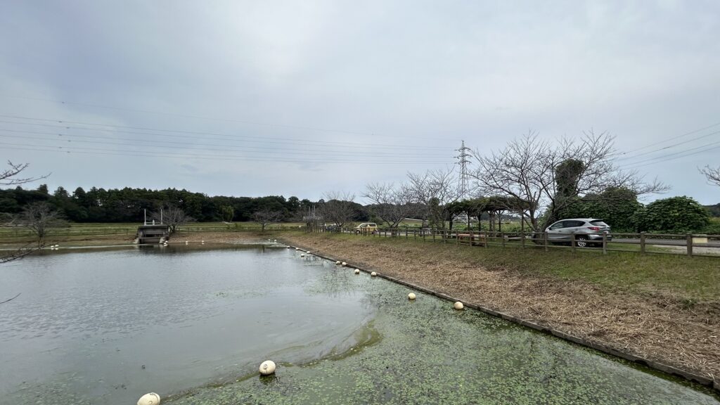 守谷城-守谷沼