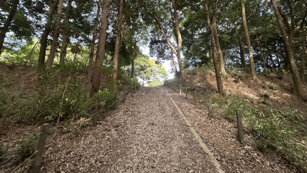 坂道から矢倉台を見上げた様子