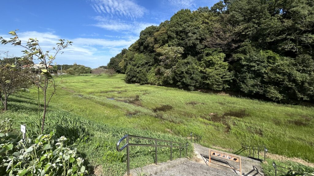 守谷城址公園の芝生広場