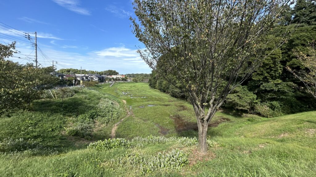 守谷城址公園の芝生広場