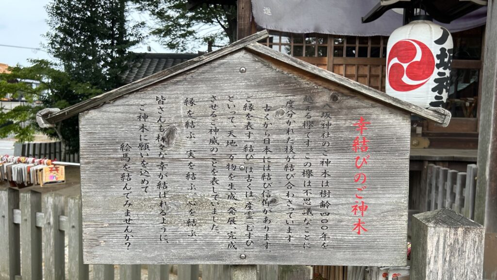 守谷城-八坂神社の欅