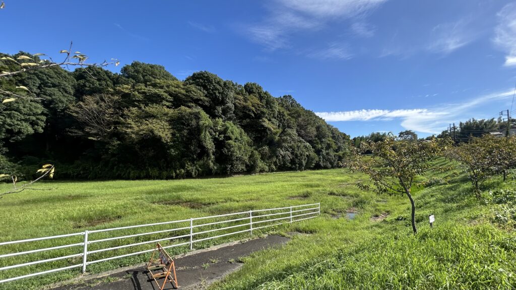 守谷城址公園