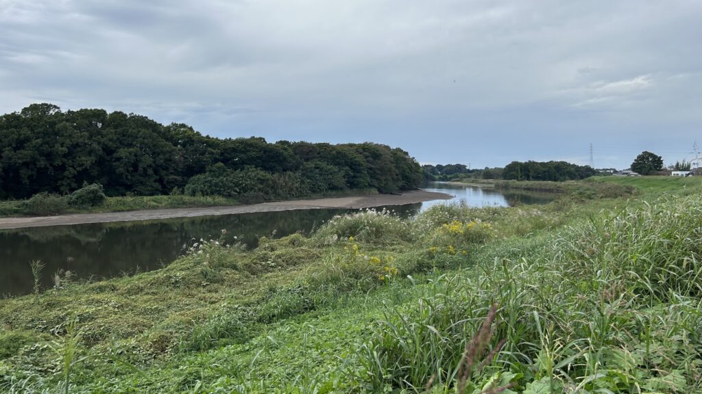 下小目地区から平沼地区を見た様子