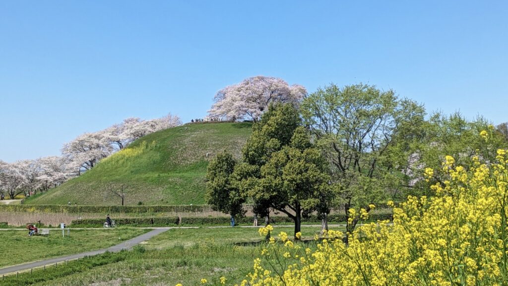 さきたま古墳群