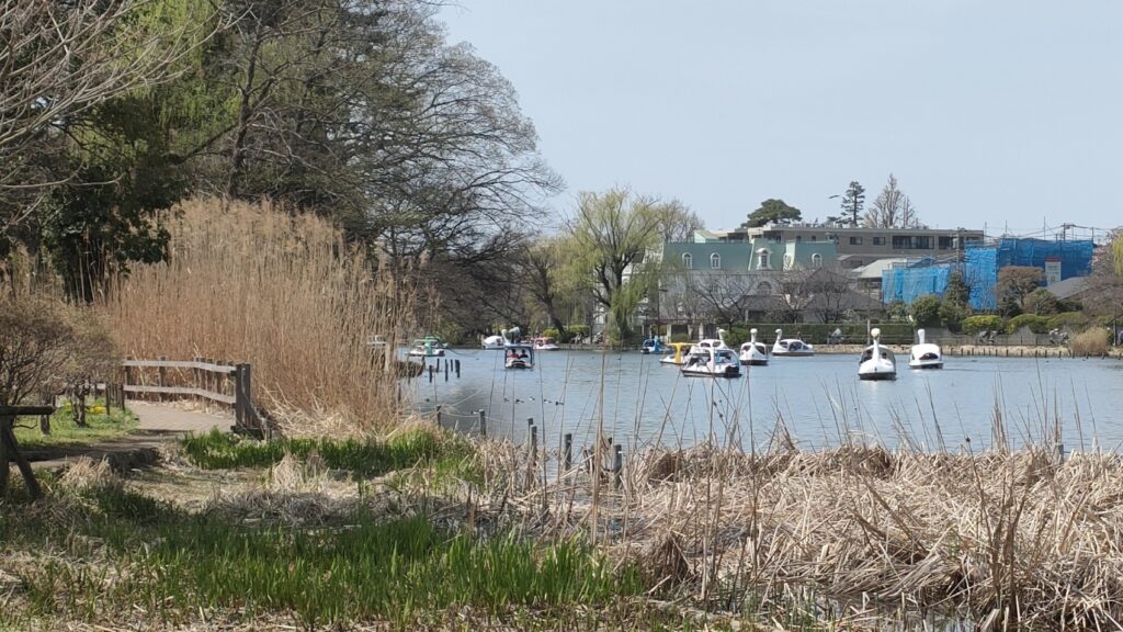 石神井公園 ボート場