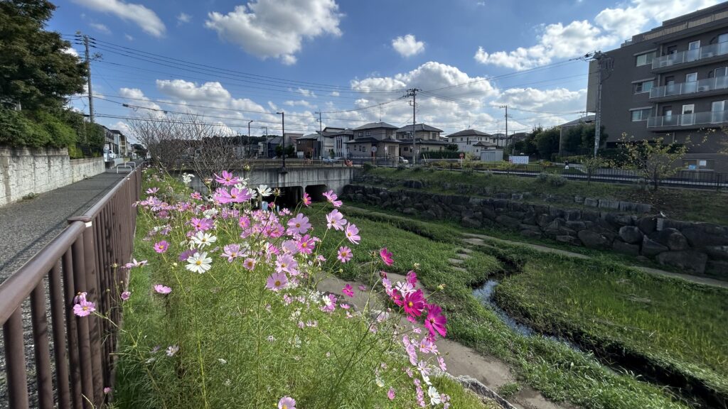 守谷城のプロムナード水路公園