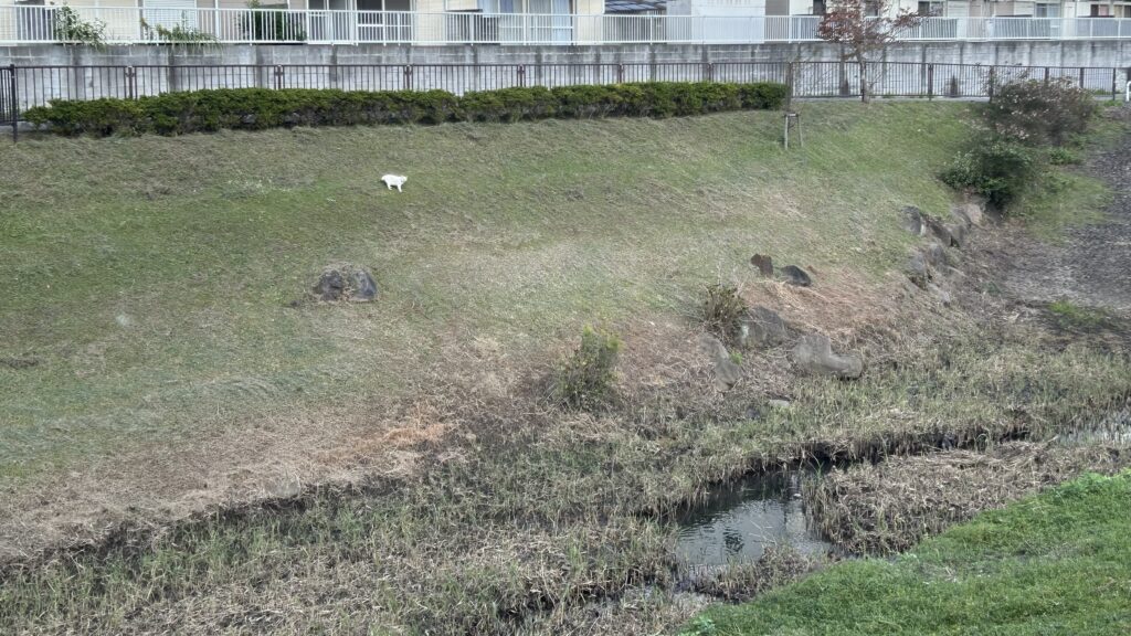 守谷城のプロムナード水路公園