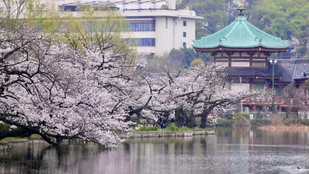 上野恩賜公園