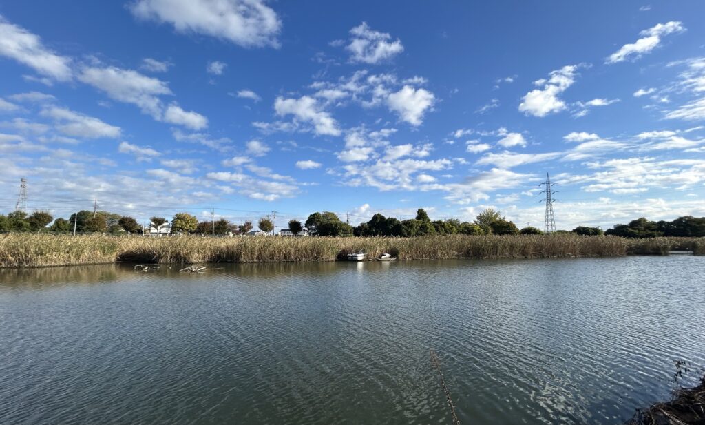 八潮市南公園運動広場から見た大場川