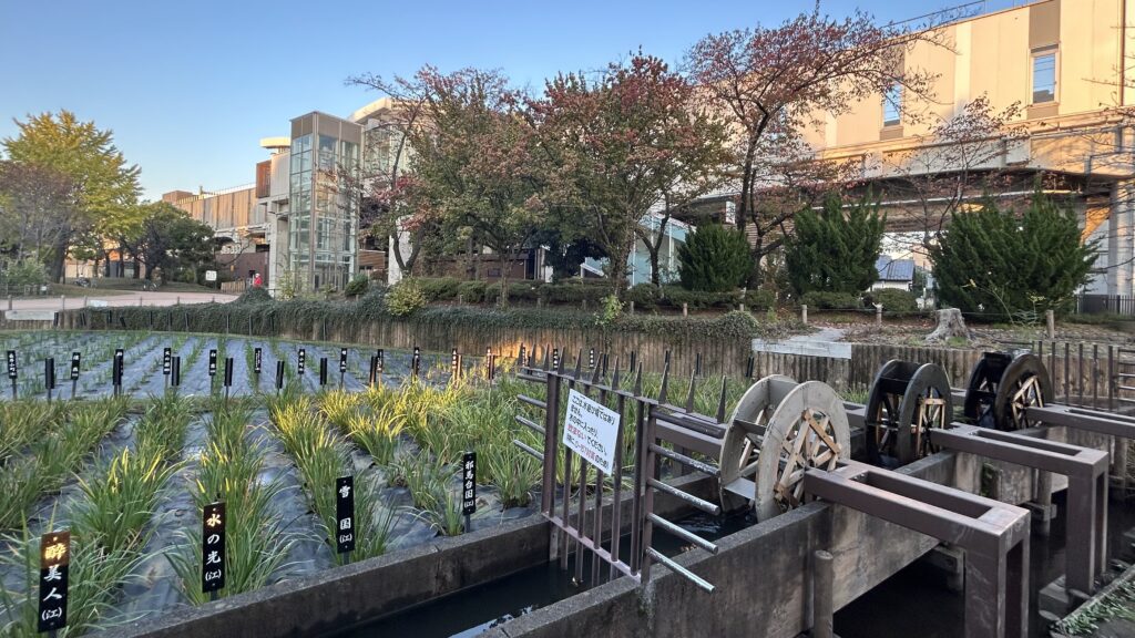 しょうぶ沼公園の三連水車