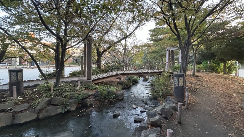 しょうぶ沼公園のあやとり橋