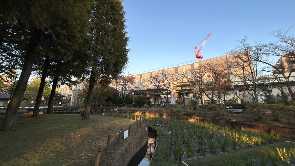 地味な公園だと感じてしまいがちな「しょうぶ沼公園」