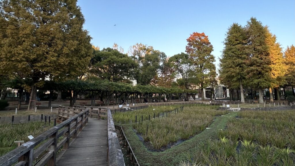 多くの人がゆったりとした時間を過ごすしょうぶ沼公園