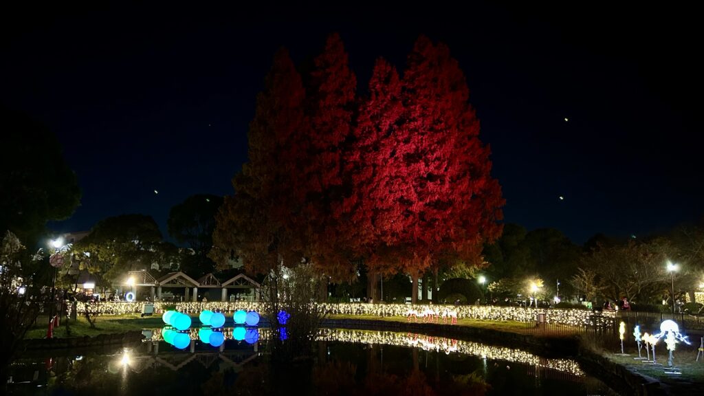 [足立区]光の祭典2024