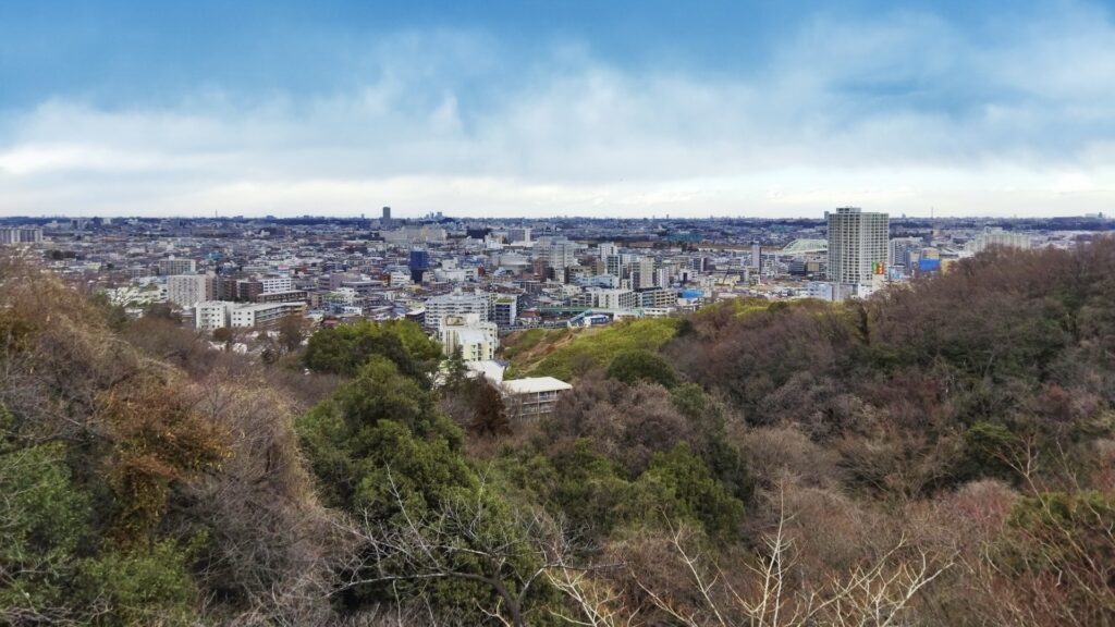 向ヶ丘遊園跡地