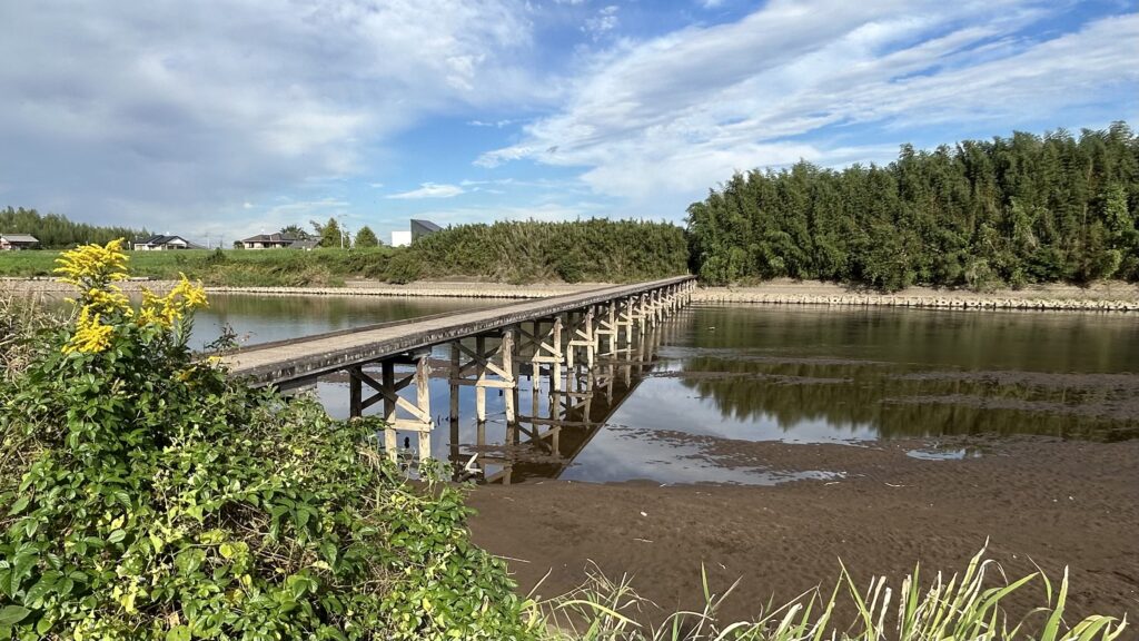 沈下橋のある円形の自然堤防集落